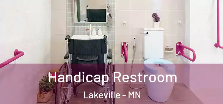 Handicap Restroom Lakeville - MN