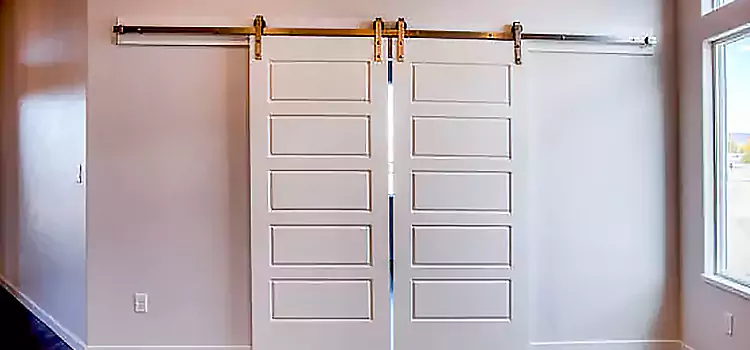 Glass Barn Door with Installation Hardware Kit Lakeville