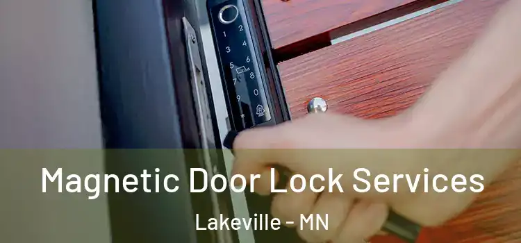 Magnetic Door Lock Services Lakeville - MN